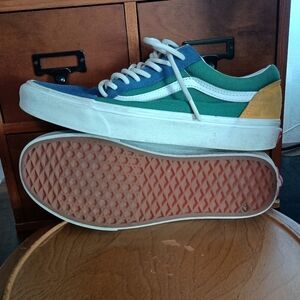 Vans Multicolor Skate Shoes_8